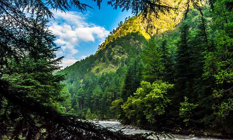 Kasol_village